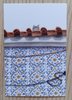 A Portuguese Azulejo House with a Cat on the Roof 🐈 front